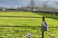 Jachttraining-2025-02-Putten-6