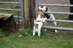 Jachttraining-2025-02-Putten-8