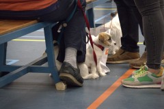 Foto-1-Middel