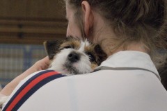 Foto-13-Middel