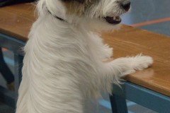Foto-18-Middel