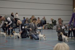 Foto-23-Middel
